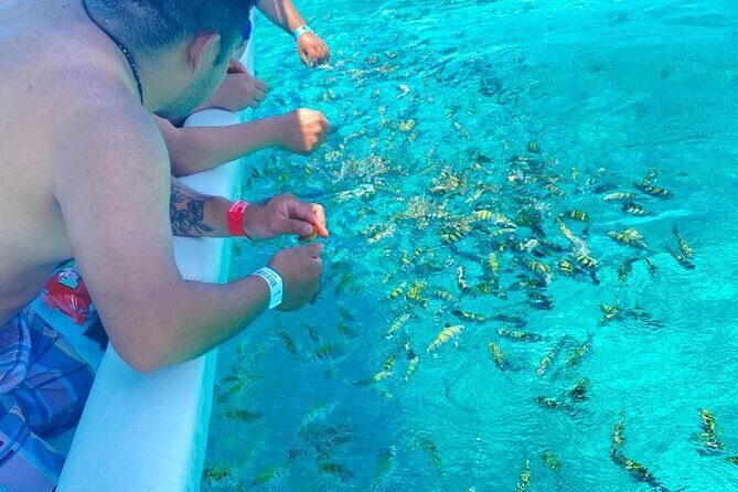 Snorkeling in Isla Mujeres and Underwater Museum - Should You Book This Snorkel-and-MUSA Tour?