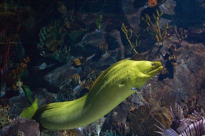 Snorkeling in Puerto Morelos - Puerto Morelos after your snorkel: make it a real day