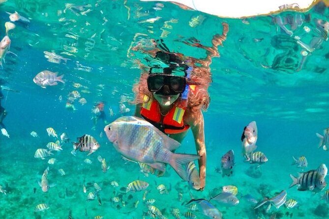 Snorkeling tour Express in Cancun with Certified Guide - Cancun Pickup Timing: How Early You Should Be Waiting