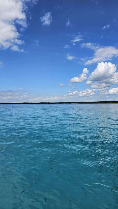 Snorkeling Tour in COZUMEL - Gear and guide support: what feels worth your money