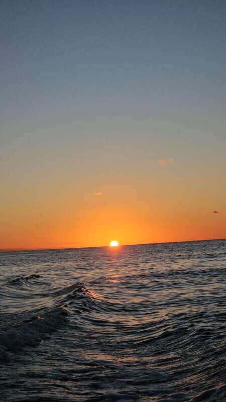 Snorkeling Tour in COZUMEL - Meet at Aqua Safari Pier (Agua Clara) and keep it simple