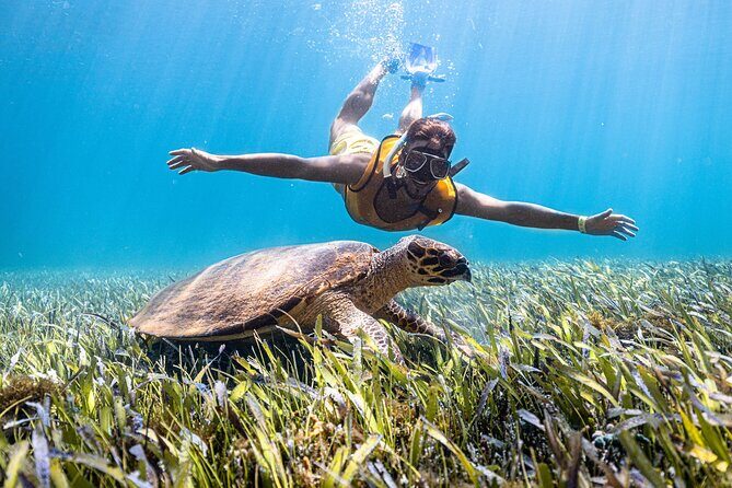 Snorkeling Tour with Turtles and Stingrays Puerto Morelos - Where This Tour Runs: Kay Club to Puerto Morelos Reef Stops
