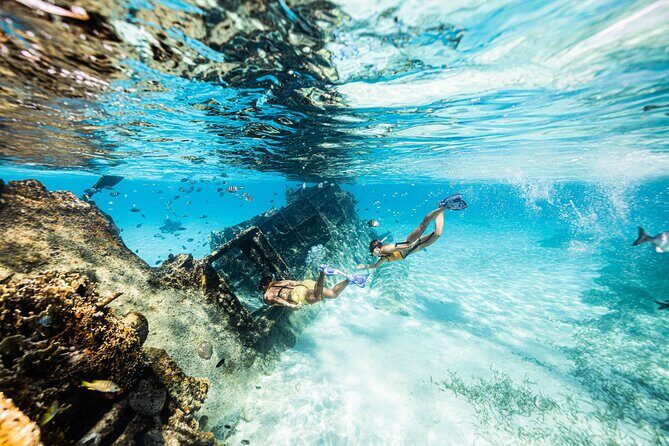 Snorkeling Tour with Turtles and Stingrays Puerto Morelos - Marina Comfort Matters: Lockers, Showers, and Bathrooms
