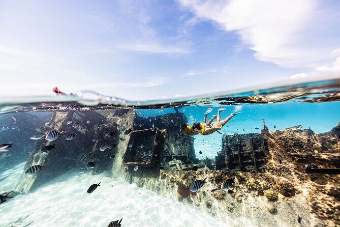 Snorkeling Tour with Turtles and Stingrays Puerto Morelos - Reef Time with Sea Turtles and Stingrays: What Your Hour in the Water Feels Like