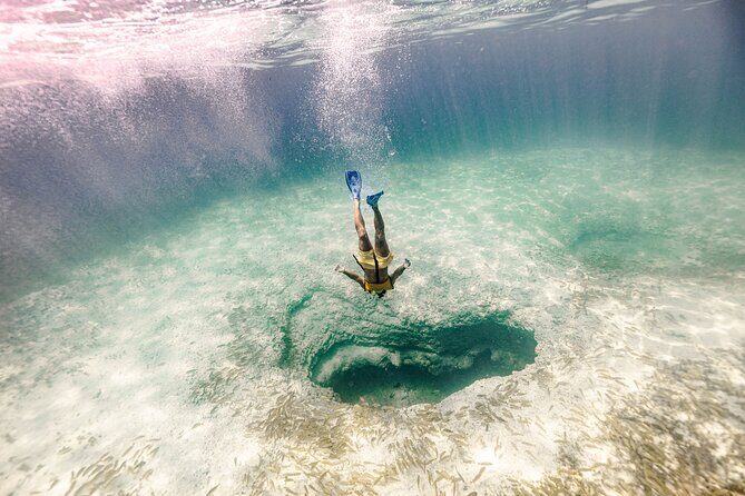 Snorkeling Tour with Turtles and Stingrays Puerto Morelos - How to Make the Most of Your Snorkel Time (Without Overthinking It)