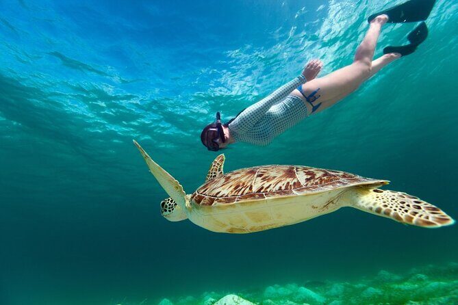 Snorkeling with Turtles and Cenotes - Snorkeling with turtles in Akumal: the protected-bay experience
