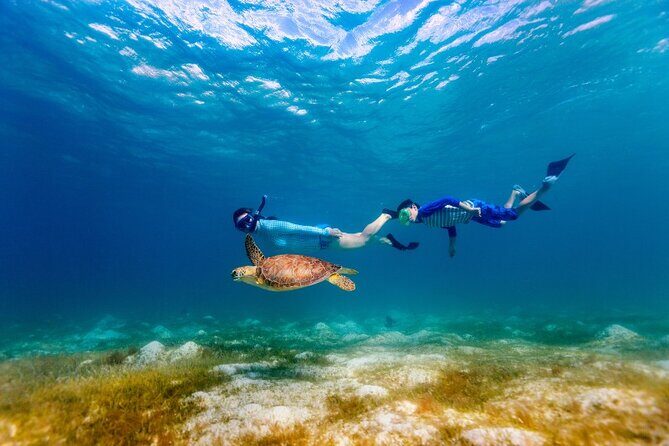 Snorkeling with Turtles and Cenotes - Gear, guides, and the photo factor (César and Cindy)