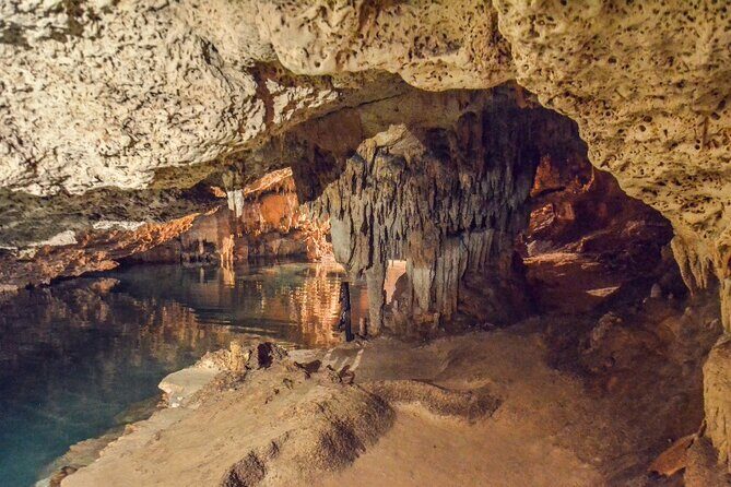 Snorkeling with Turtles and Cenotes - Price and value: $89 plus the $20 government fee