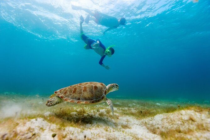 Snorkeling with Turtles and Cenotes - What you should pack (and what to skip)