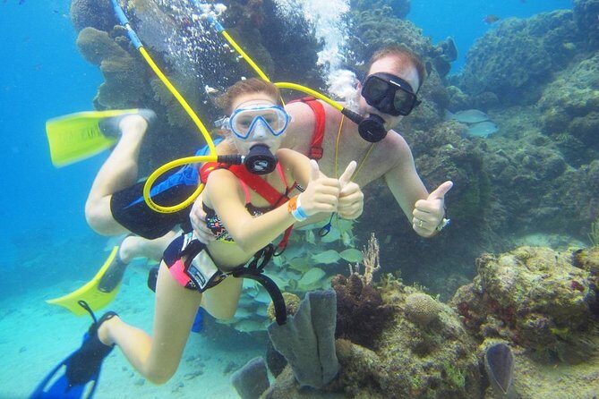 SNUBA Cozumel Underwater Adventure inside Chankanaab National Park - SNUBA at Chankanaab: the underwater setup that feels approachable