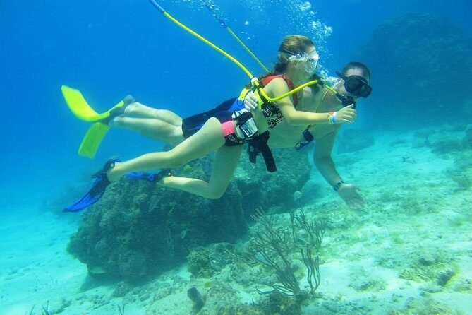 SNUBA Cozumel Underwater Adventure inside Chankanaab National Park - What you’ll see at Chankanaab Reef: fish, lobsters, rays, and a reality check