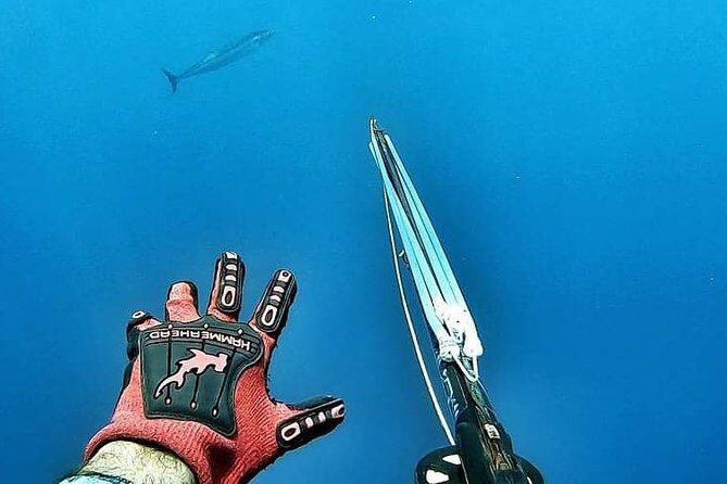 Spearfishing Playa del Carmen or Tulum - How the Guide Runs the Water: Diego’s Safety Call and the Shot Priority Question