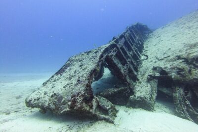 SPECIAL!! 2 Tank Wreck & Drift Reef dives - Tank Two: Drift Reef That Feels Like Wildlife Choreography