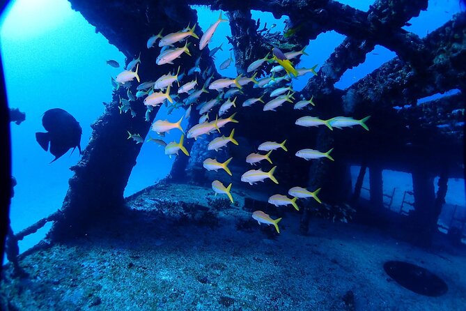 SPECIAL!! 2 Tank Wreck & Drift Reef dives - Gear, Depth, and Skill Level: Who This Two-Tank Day Fits