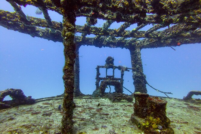 SPECIAL!! 2 Tank Wreck & Drift Reef dives - Should You Book This Two-Tank Wreck and Drift Reef Combo?