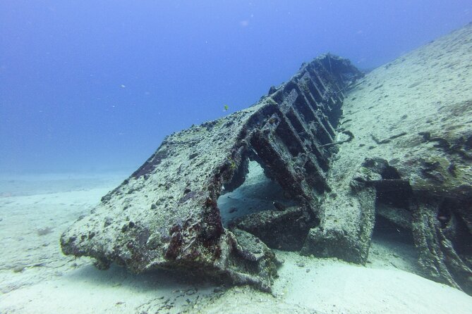 SPECIAL!! 2 Tank Wreck & Drift Reef dives - Tank Two: Drift Reef That Feels Like Wildlife Choreography