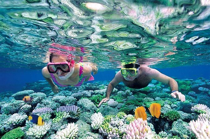 Special offer COMBO 2x1 (Tour to Isla Mujeres and Chichén Itzá ) for 1 price! - Cenote Noolha by Chichikán: swim in cool water and reset your energy