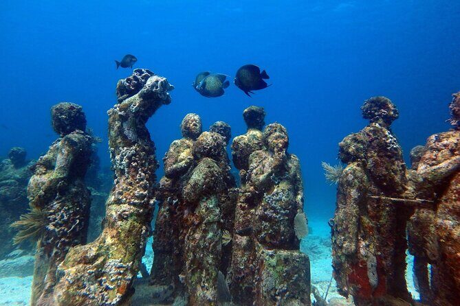 SPECIAL! Snorkel at MUSA - The Underwater Museum Reservation - Stop Two: Manchones Reef at ~30 Feet (Where the Color Shows Up)
