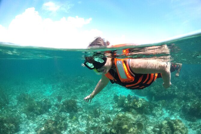 Speed boat aventure and snorkel - Where You Meet in Cancun (and What Makes the Start Easy)