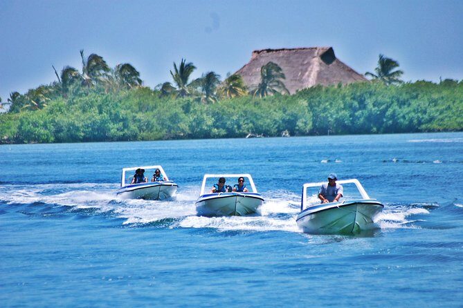 Speed Boat & Snorkel Tour with transportation ( only Cancun zone area) - Why This Cancun Speedboat + Snorkel Tour Works
