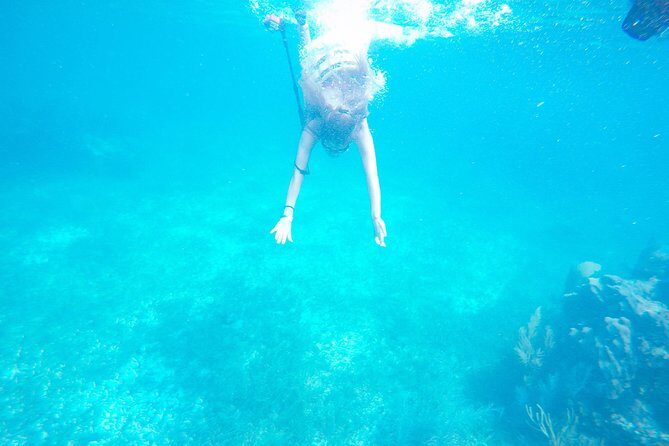 Speed Boat & Snorkel Tour with transportation ( only Cancun zone area) - Stop 1 at Puerto Morelos: Snorkeling at The Angel Reef Park
