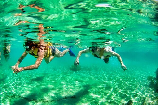 Speedboat across the Mangroves & Snorkel with Jet Ski Rental - Timing, breaks, and the little moments you might catch