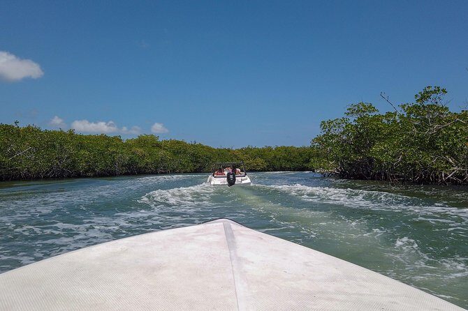 Speedboat and snorkel tour: Single Passenger Boat - The 2-Hour Flow: What Happens From Check-In to Back Again