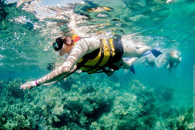 Speedboat and snorkel tour: Single Passenger Boat - Price and Value: Is $110 a Good Deal Here?