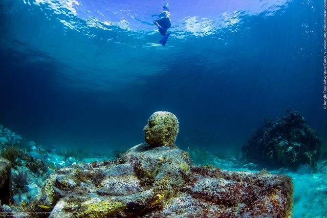 Speedboat and snorkel tour: Single Passenger Boat - Who This Tour Fits Best (and Who Should Skip It)