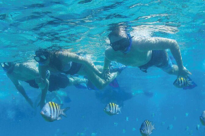 Speedboat Excursion: Thrilling Drive & Snorkel in Cancun Lagoon! - Safety and confidence: why this guide-led format matters