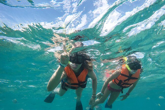 Speedboat jungle tour and snorkel - Guides, Group Size, and Real-World Service Details