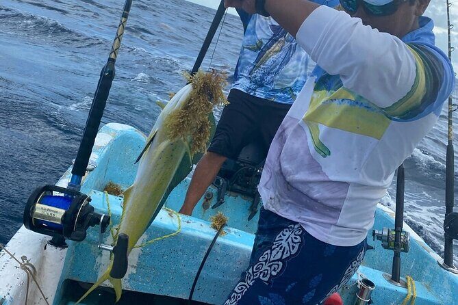 Sport Fishing in Tulum - Species expectations: what you can realistically hope for