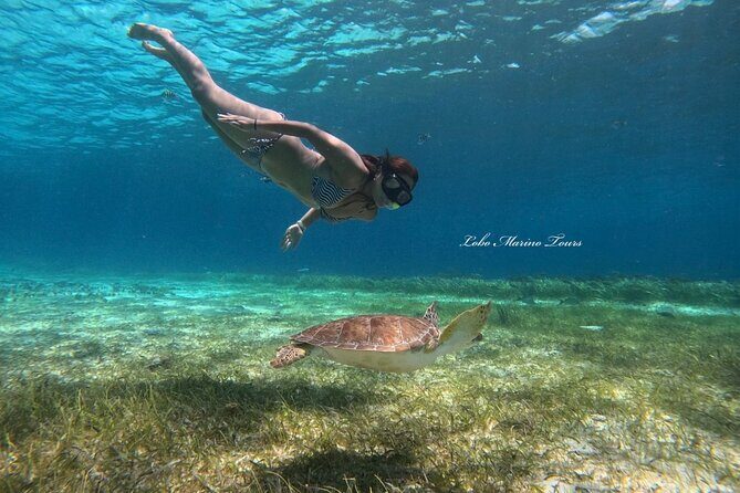 Star and Turtle Sanctuary Snorkeling Tour in Cozumel - Stop Three: Starfish Sanctuary (Where the Eyeballs Go)
