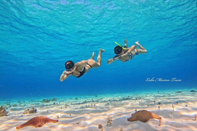 Star and Turtle Sanctuary Snorkeling Tour in Cozumel - The Crew and Onboard Service: What You’ll Appreciate Day-of