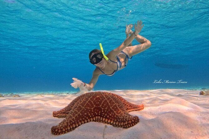 Star and Turtle Sanctuary Snorkeling Tour in Cozumel - Stop One: The First Reef Area (Your Warm-Up Snorkel)