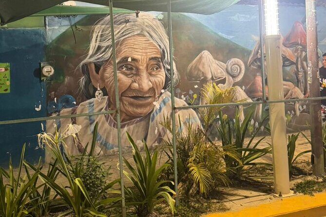 Street Art & Cemetery Cultural Tour - half day - Quinta Avenida: your easy first stop in Playa del Carmen