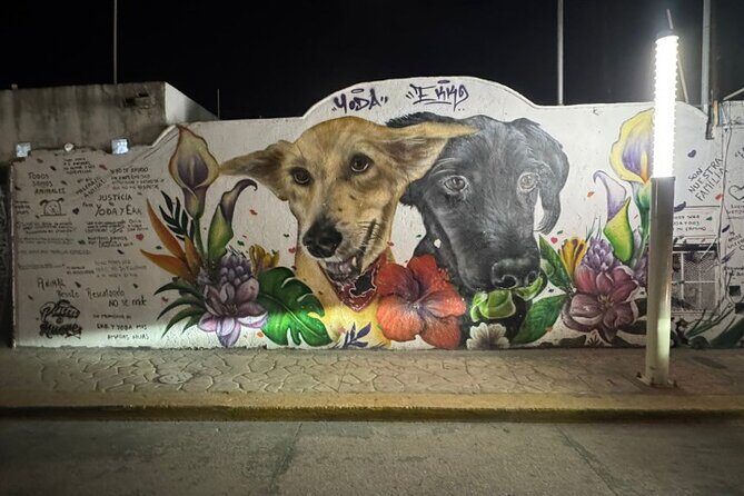 Street Art & Cemetery Cultural Tour - half day - Price and value: is $151 per person worth it?