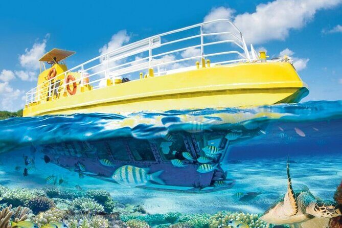 Subsea Subsee - What you’ll see: marine life, coral reefs, and underwater statues