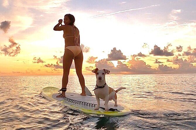 Sunrise Paddle Surf - Meeting point and how to not lose 10 minutes to confusion