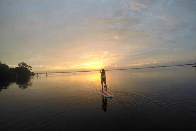 Sunrise Tour (Stand Up Paddle or Kayak) - SUP vs Kayak: Pick the Craft That Matches Your Comfort