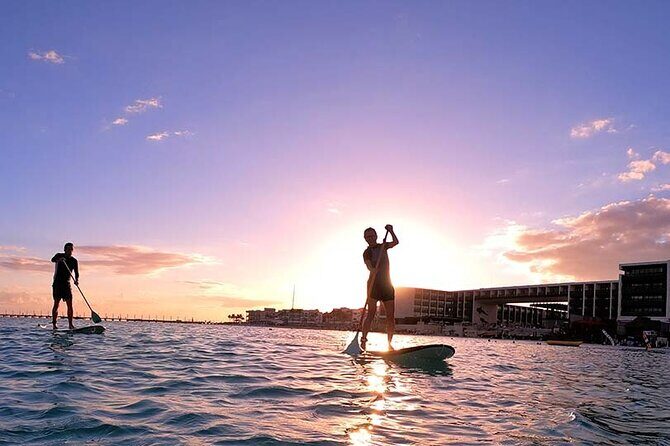 Sunset Session - An Exciting Paddleboard Adventure For All Levels - Stop 2 at Aloha Paddleboard & Surf Club: Equipment, photos, and pacing
