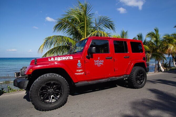 Super Cozumel Combo Snorkel by Boat and Jeep Exploration (Private) - Snorkeling by Boat Near the Reef: The Main Event