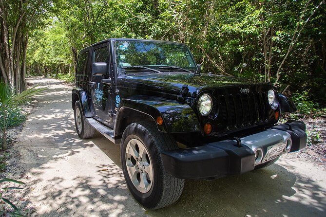 Super Cozumel Combo Snorkel by Boat and Jeep Exploration (Private) - Who This Tour Fits Best