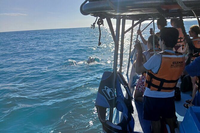Swim with the Whale Shark on Holbox Island - Coffee Morning at Tuch Holbox by Big Fish and Meet Glendy Tours