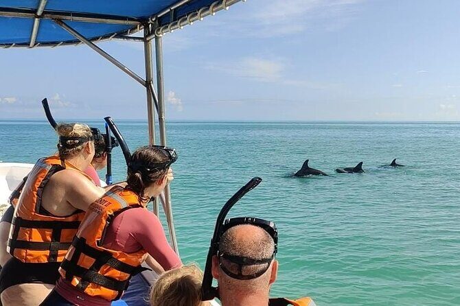 Swim with the Whale Shark on Holbox Island - Snorkeling Off Cabo Catoche: Reefs, Caves, and Mixed Marine Life