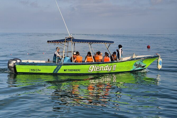 Swim with the Whale Shark on Holbox Island - Hotel Pickup on Holbox: When the Van Comes and Who It’s For