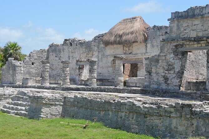 Swim with Turtles in Akumal, Cenote and Tulum Ruins Tour - Tour price and value: why $256.47 can make sense