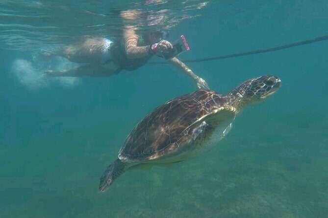Swim with turtles + snorkelling + archaeological zone of Tulúm + cenote - Stop 2: Tulum archaeological zone—how to make the ruins time count
