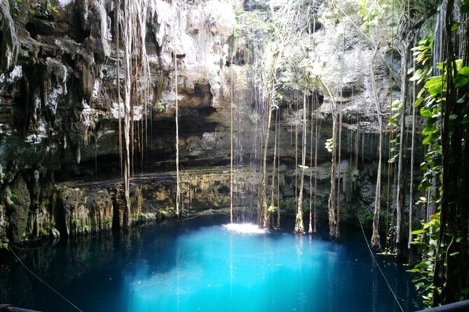 Swim with turtles + snorkelling + archaeological zone of Tulúm + cenote - Who this tour suits best in Riviera Maya