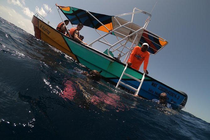 Swim with whale sharks on a private tour - First thing: how the day is paced from 6:30 am